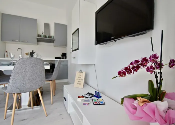 Apartament Bright And Spacious With Grill *** *